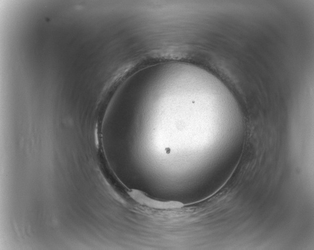 X0000067530020200604150237