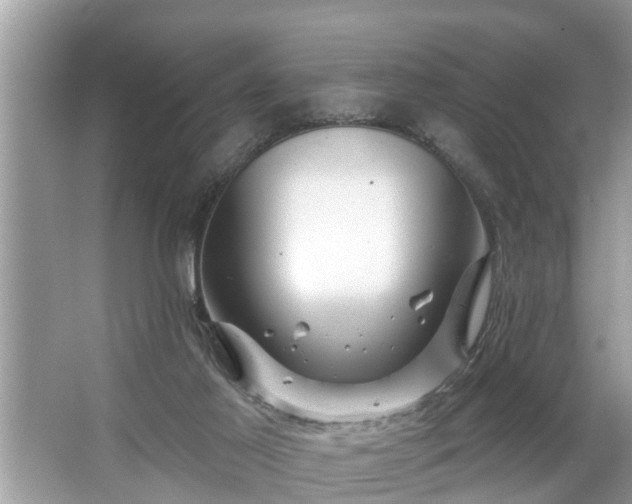 X0000067530021200604150237