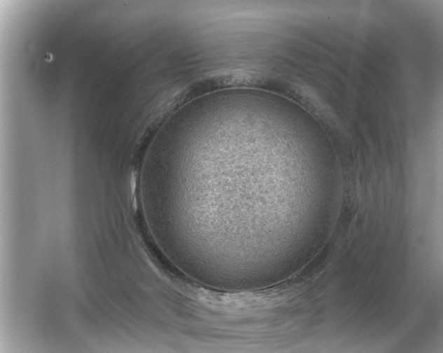 X0000067530022200604150237