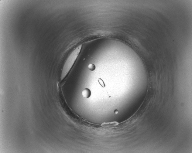 X0000067530024200604150237