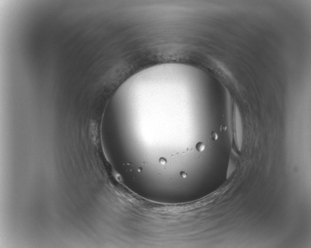 X0000067530025200604150237