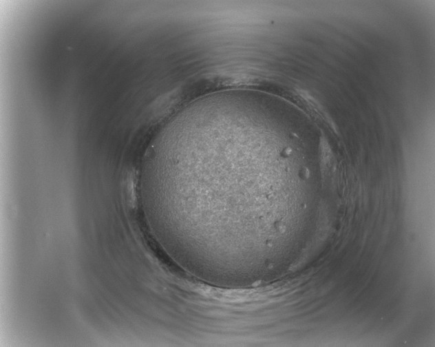 X0000067530026200604150237