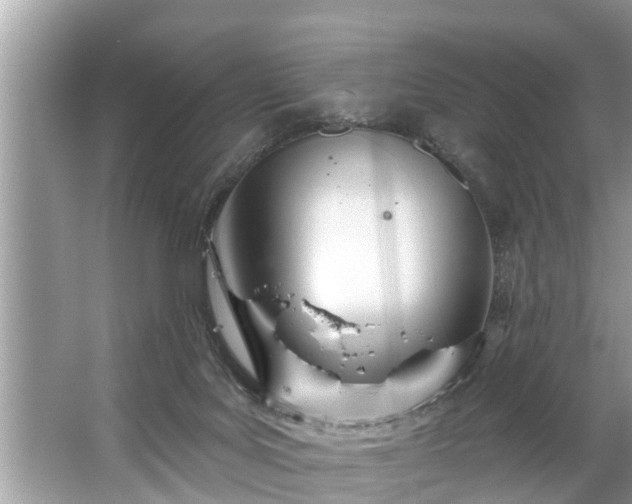 X0000067530027200604150237