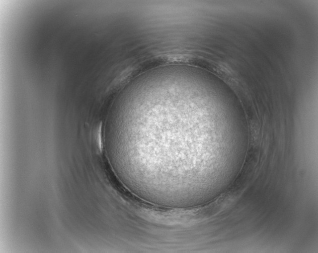 X0000067530028200604150237