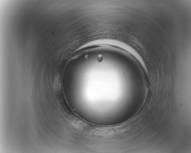 X0000067530029200604150237