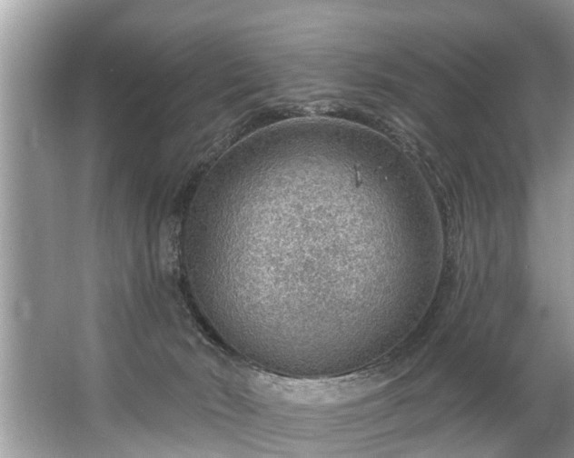 X0000067530030200604150237