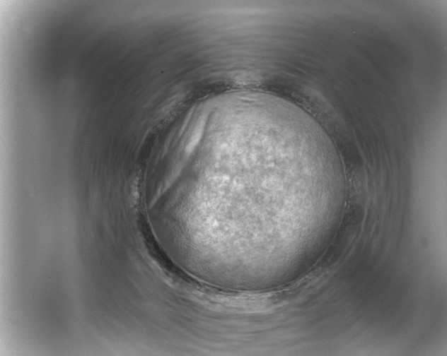 X0000067530032200604150237