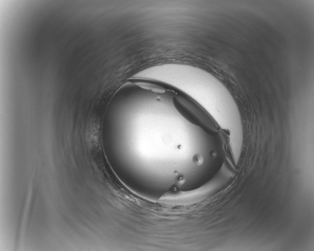 X0000067530033200604150237