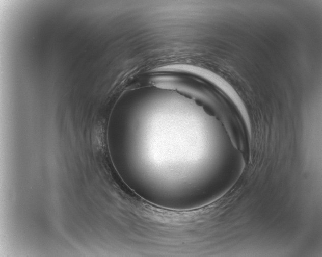 X0000067530035200604150237