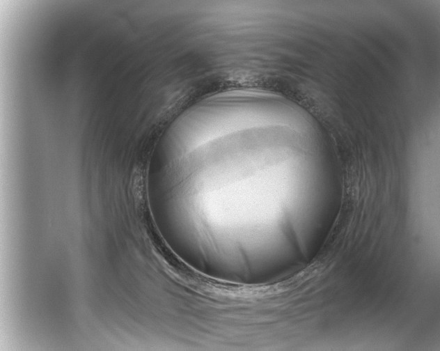 X0000067530036200604150237