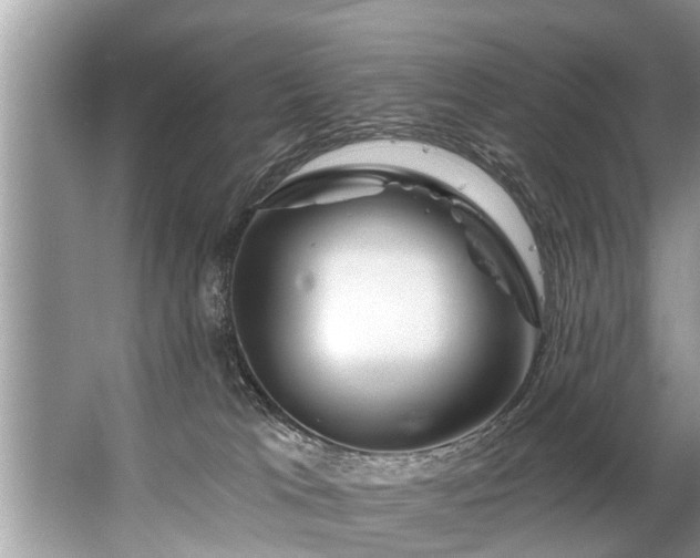 X0000067530037200604150237