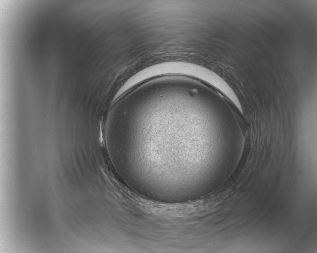 X0000067530042200604150237