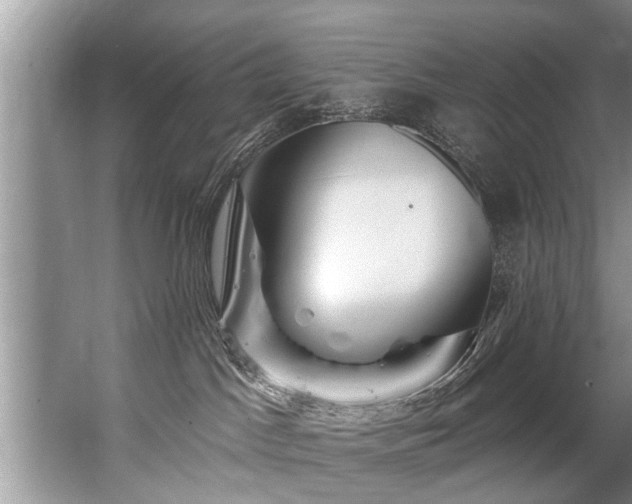 X0000067530045200604150237