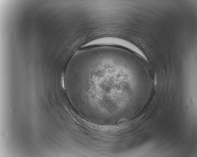 X0000067530046200604150237