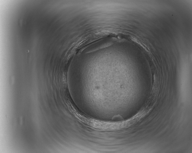 X0000067530048200604150237