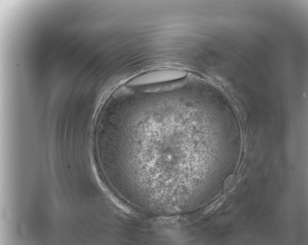 X0000067530049200604150236