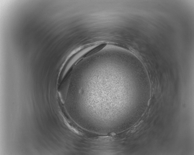 X0000067530050200604150236