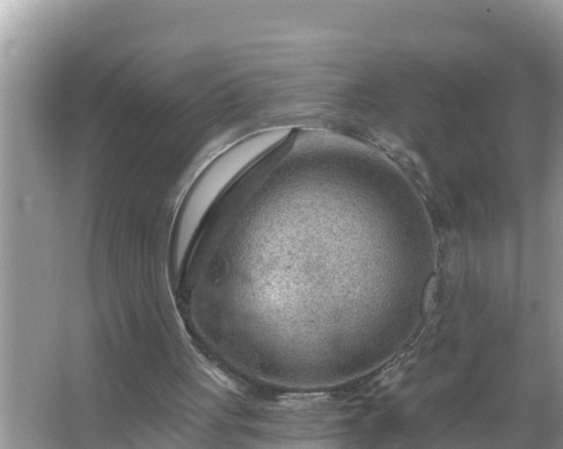 X0000067530051200604150236