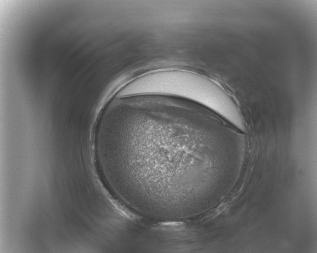 X0000067530053200604150236