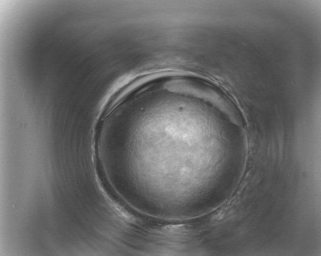 X0000067530054200604150236