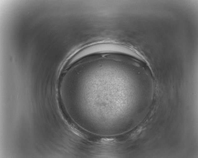 X0000067530055200604150236