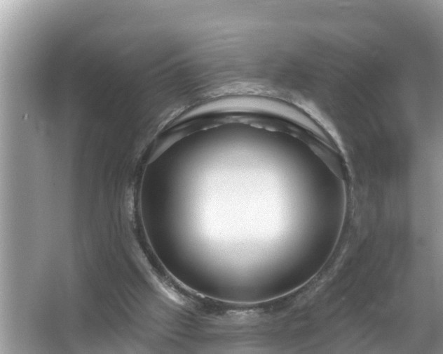 X0000067530057200604150236