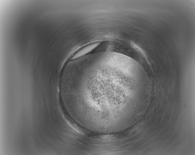 X0000067530059200604150236