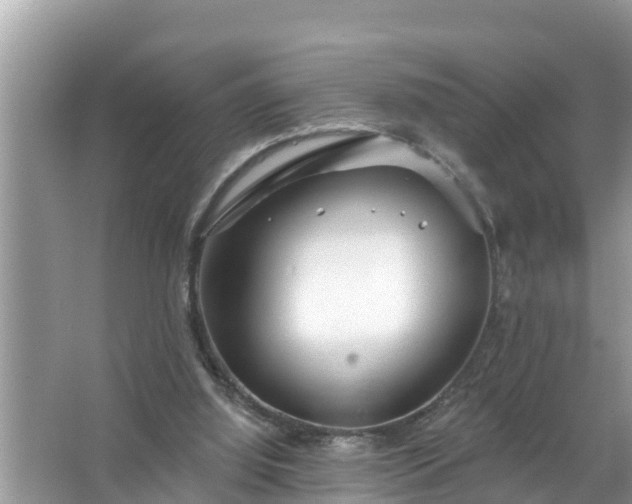 X0000067530060200604150236