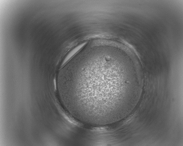 X0000067530061200604150236