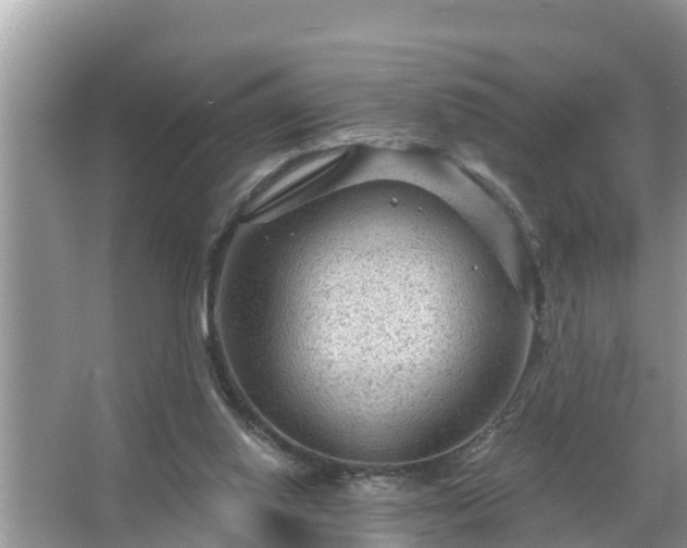 X0000067530062200604150236