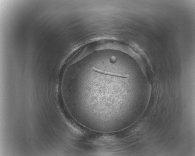 X0000067530063200604150236