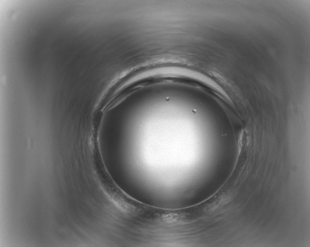 X0000067530064200604150236