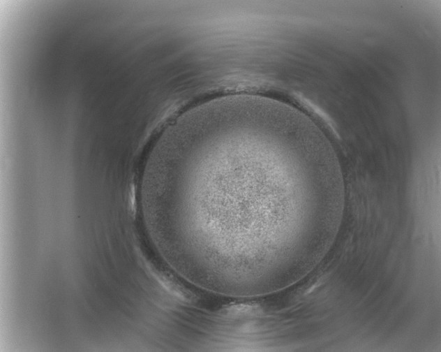 X0000067530067200604150236