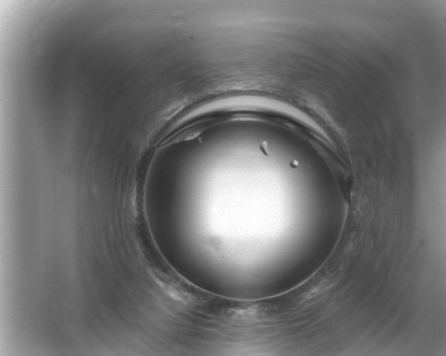 X0000067530068200604150236