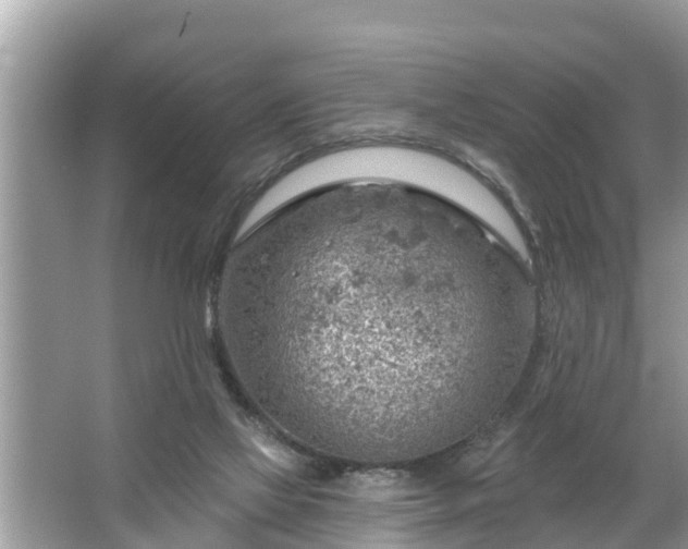 X0000067530069200604150236