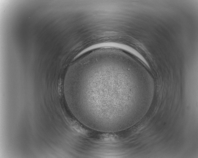 X0000067530073200604150236