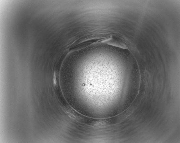 X0000067530075200604150236