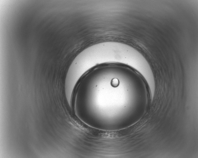 X0000067530077200604150236