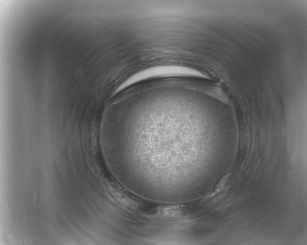 X0000067530078200604150236