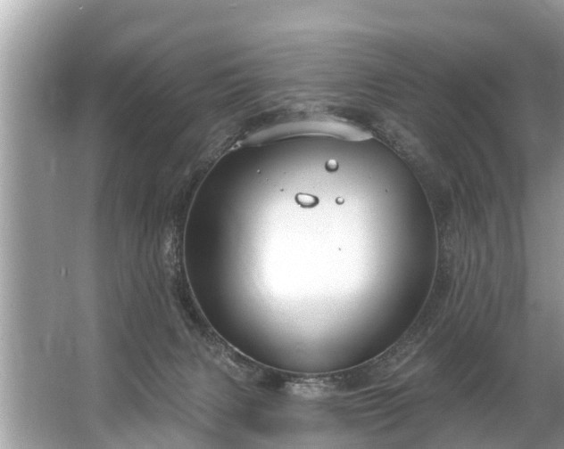 X0000067530079200604150236