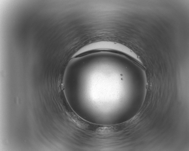 X0000067530082200604150236