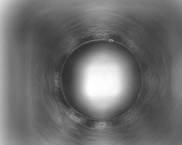 X0000067530083200604150236