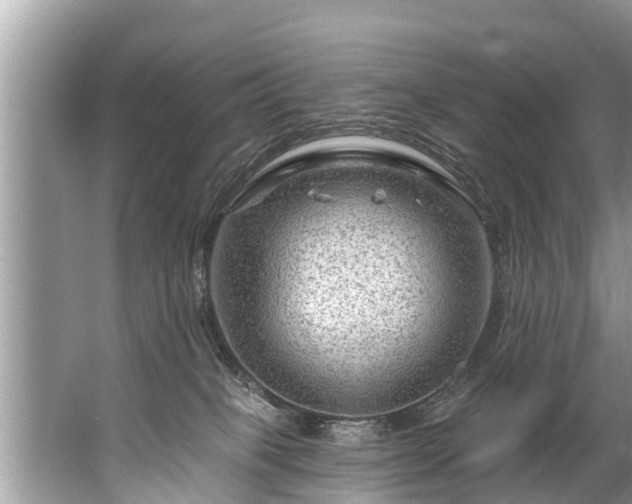 X0000067530085200604150236