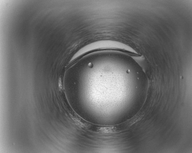 X0000067530089200604150236