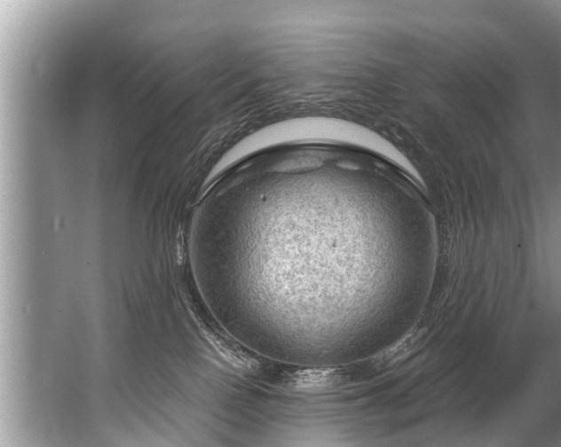 X0000067530090200604150236