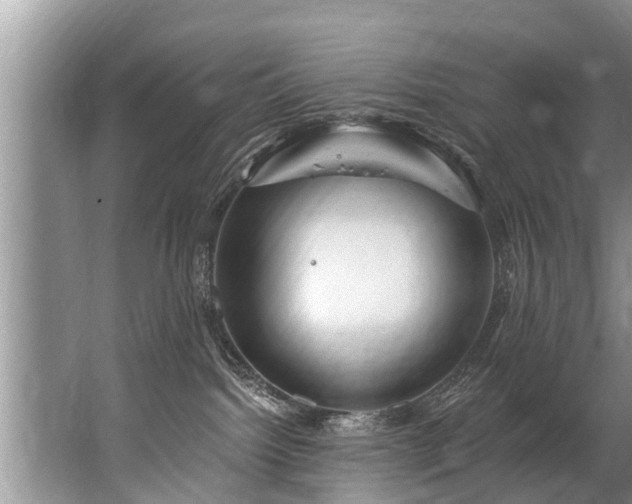 X0000067530092200604150237