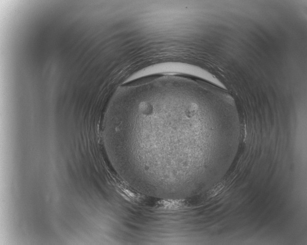 X0000067530093200604150237