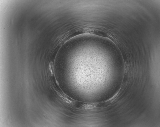 X0000067530094200604150237