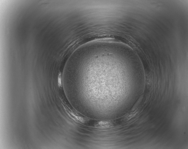 X0000067530095200604150237