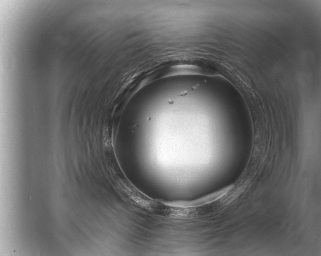 X0000067530096200604150237